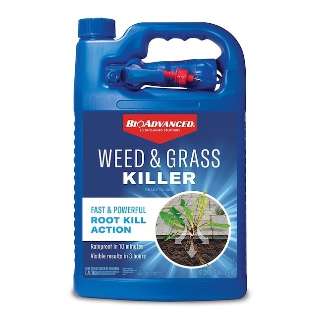 WEED AND GRASS KILLER - BIOADVANCED - 1 GALLON - TRIGGER SPRAY - KILLS THE ROOT
