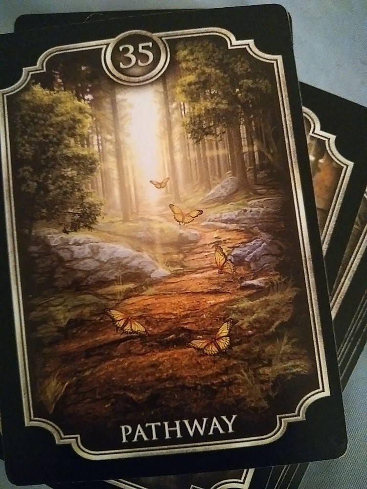 Psychic Tarot Pet Reading + 2 Additional Questions