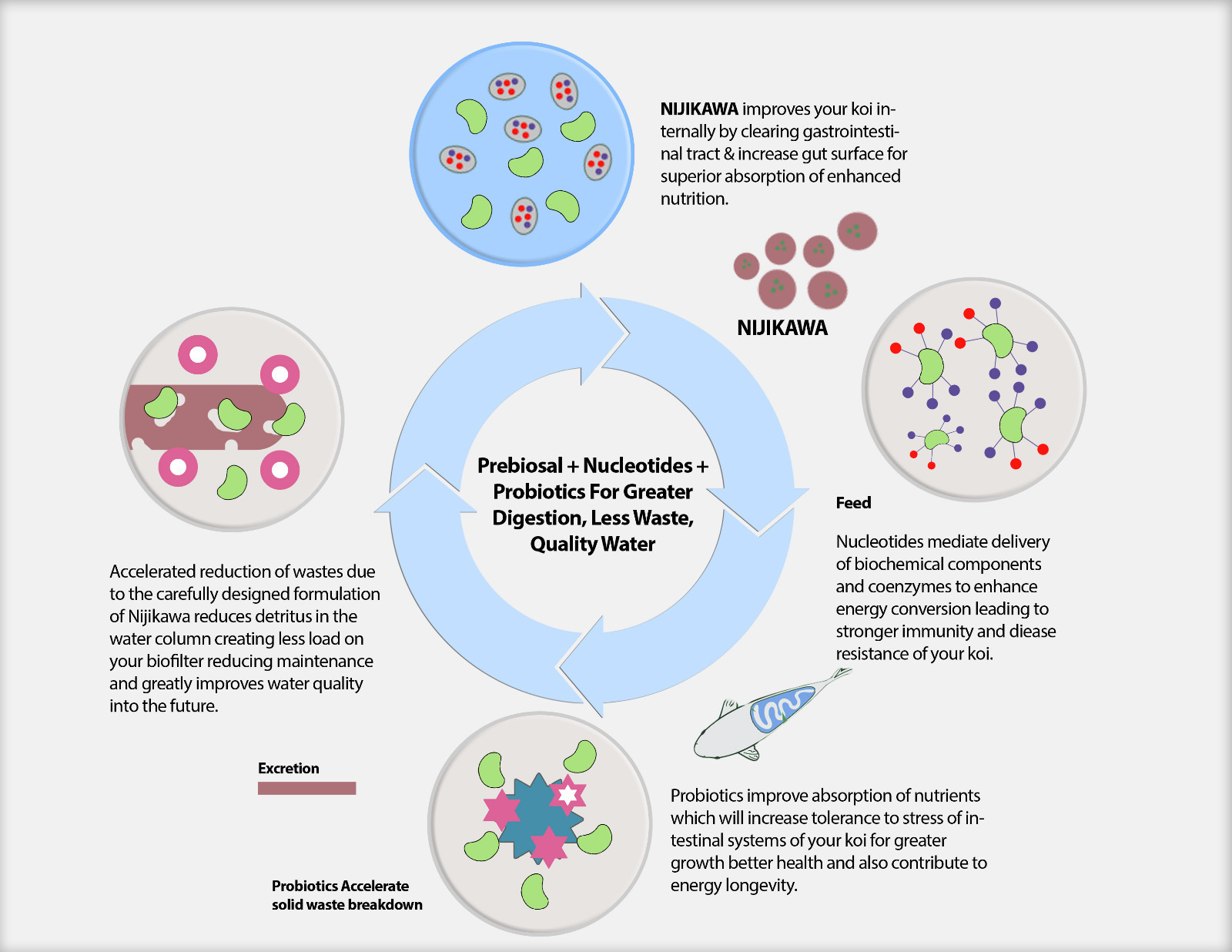 Nijikawa Professional Koi Food 44lb 5MM Sinking •Authorized eBay Dealer•