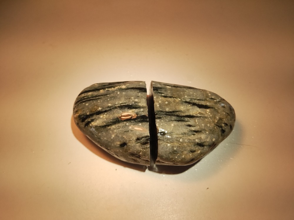 L tectonite Grenville age gneiss