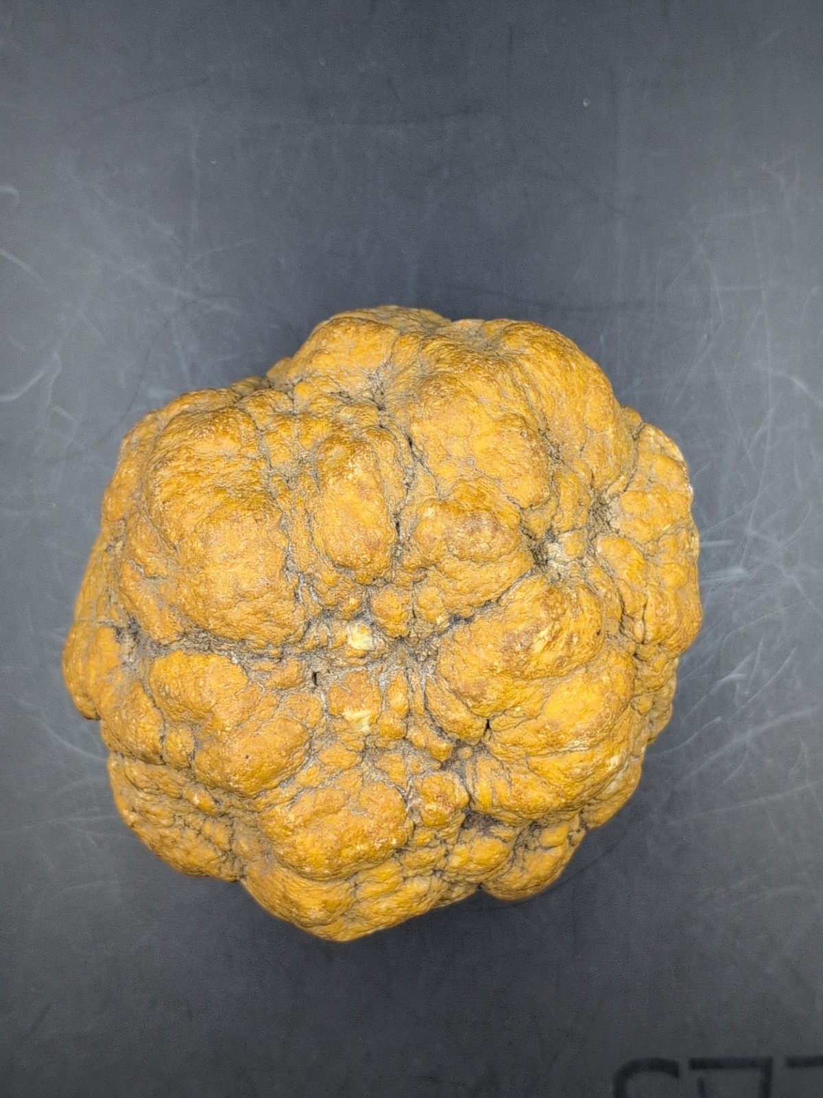 Large Quartz Nodule Concretion 5 lb Botryoidal Milky Quartz Mineral Specimen