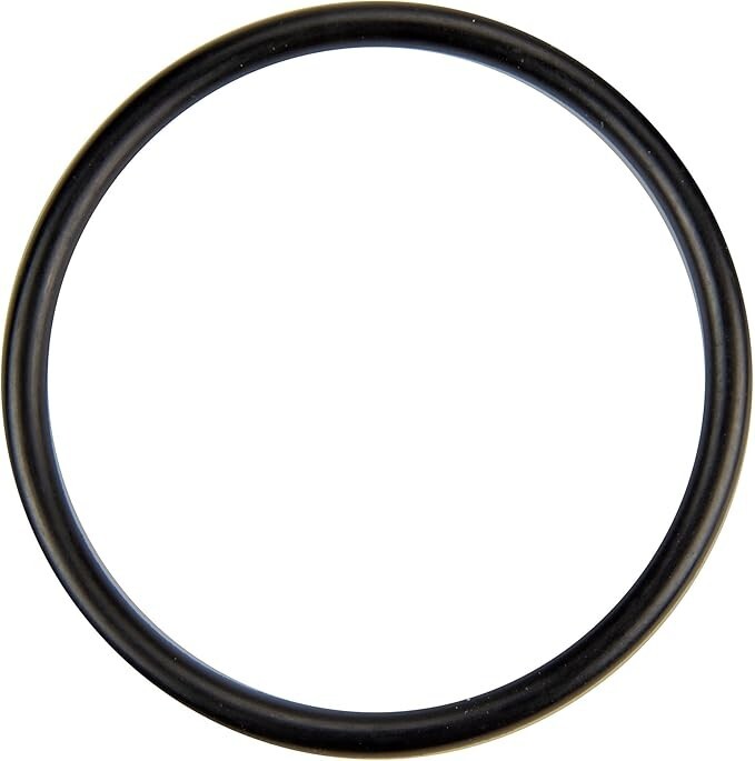 Pentair U9-226 O-Ring Diffuser Replacement for Select Sta-Rite Pool & Spa Filter