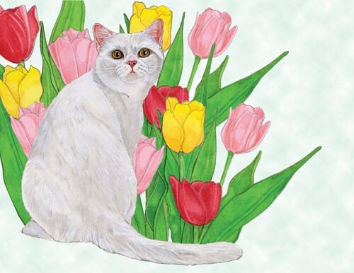 Cat White Blank Note Card