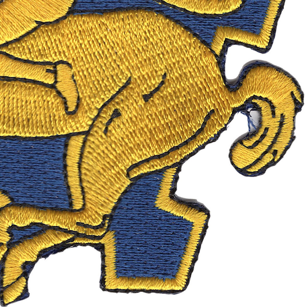 9th Cavalry Regiment Patch