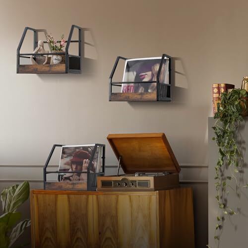 Vinyl Record Storage Pack Record Holder Wall Mount, Stackable Vinyl Holder 2
