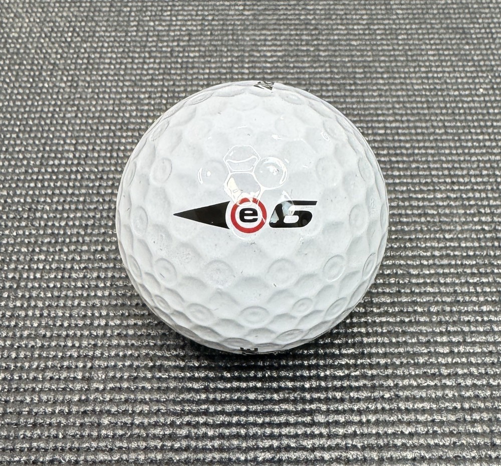 New Bridgestone E6 Straight Flight Golf Balls 2 Dozen