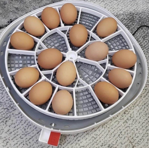 Nurture Right 360 Incuba CHICKEN EGG Replacement Turner Connectable Easy Storage