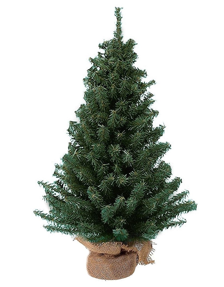 Charming 12-Inch Miniature Pine Christmas Tree with Rustic Burlap Base
