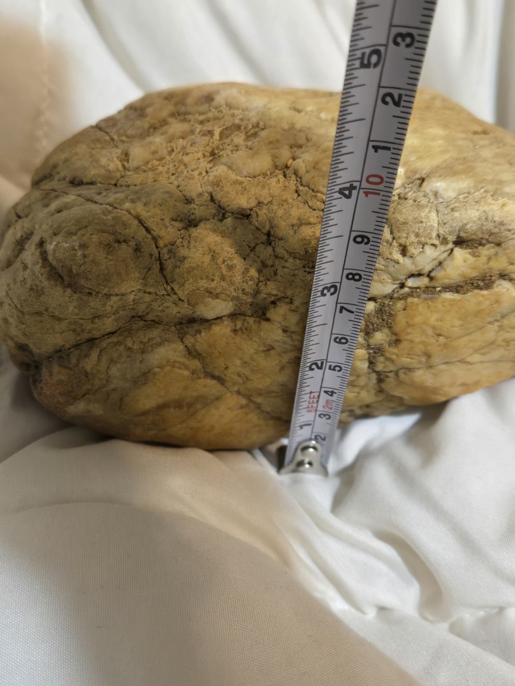 Geode From Indiana 4.5lbs