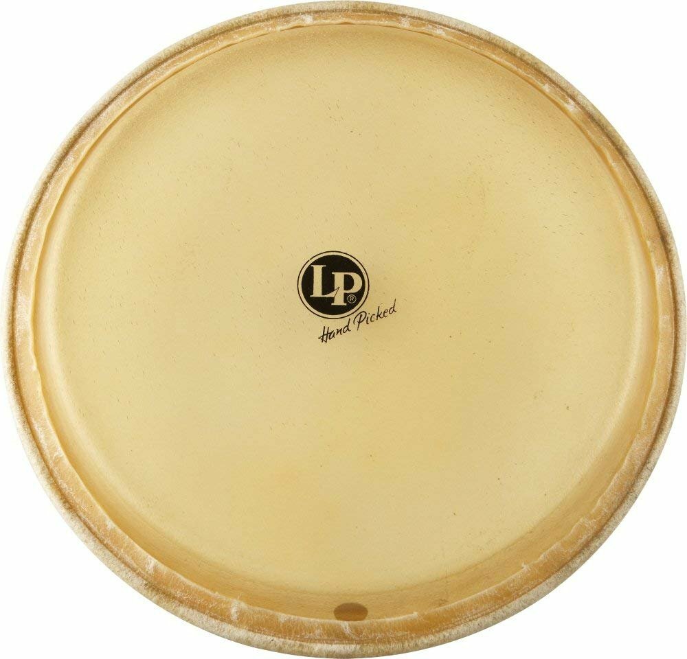 LP Conga Head (12.5)