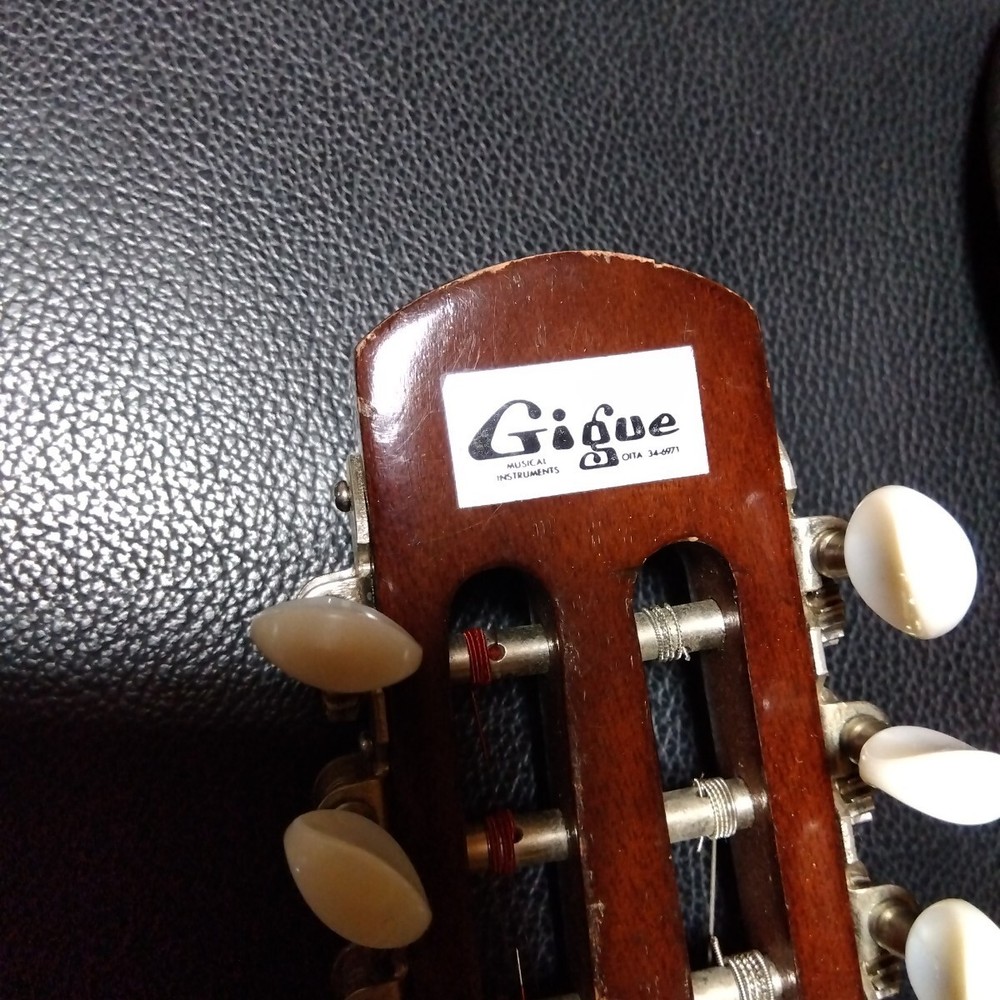 String instrument mandolin with case