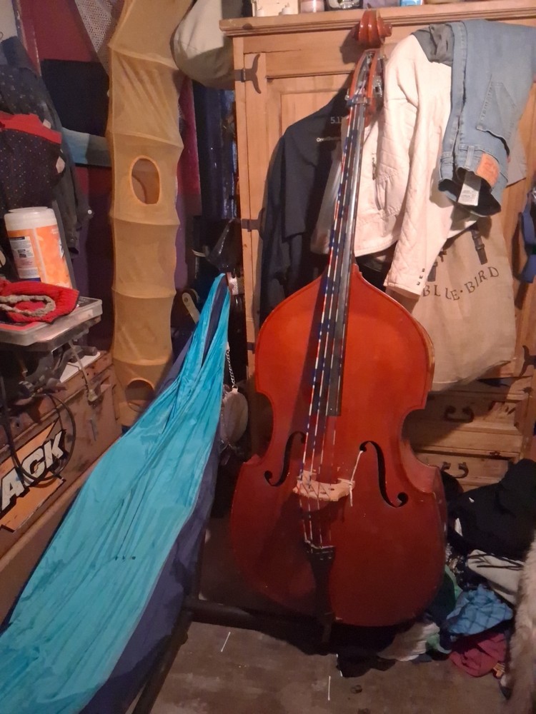 Bass Cello