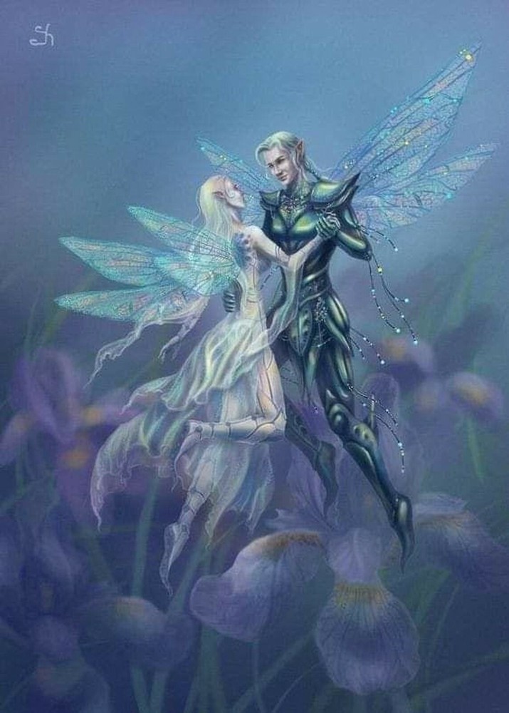 Remarkable King and Queen Fae  - Direct Binding Service