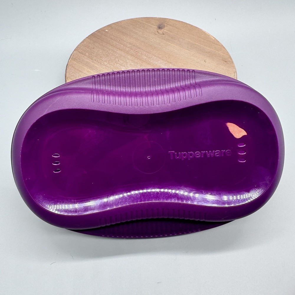Tupperware Microwave Breakfast Maker Plus Two Egg Inserts Purple New w/ Manual