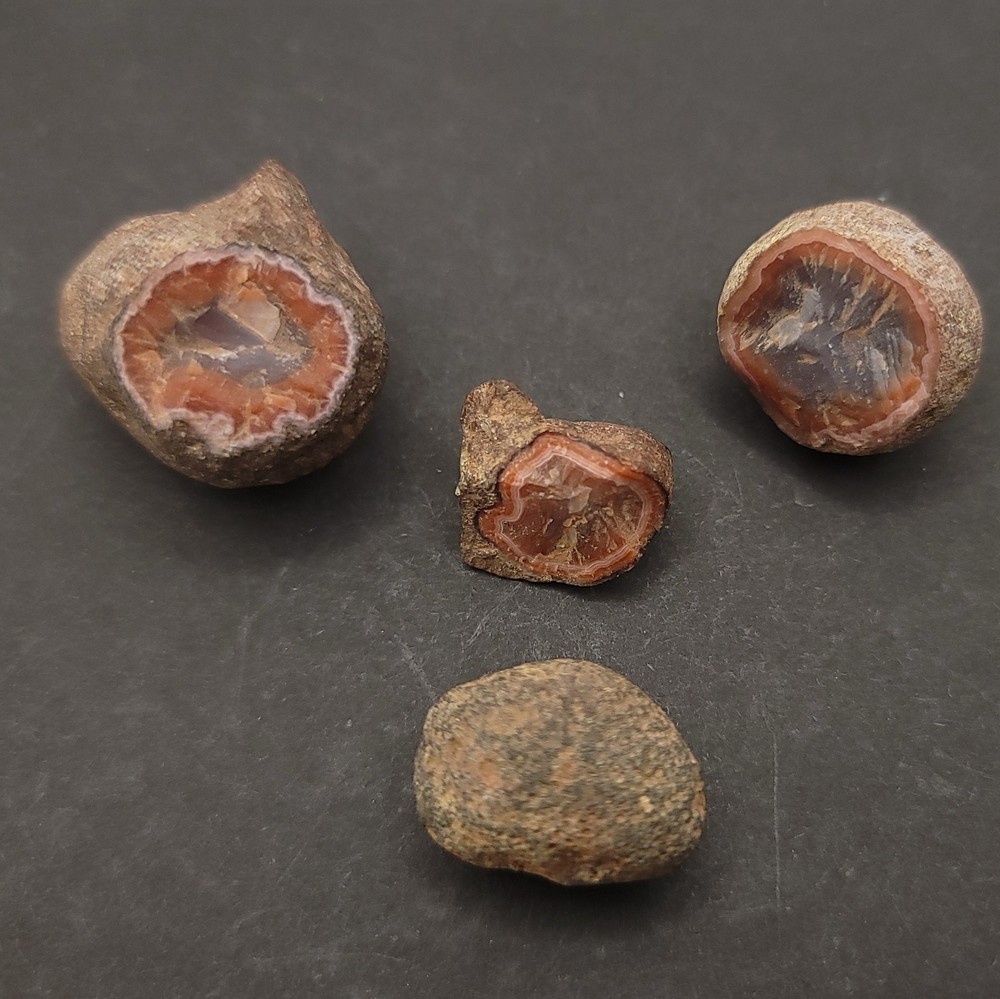 x4 Coyameto Agate
