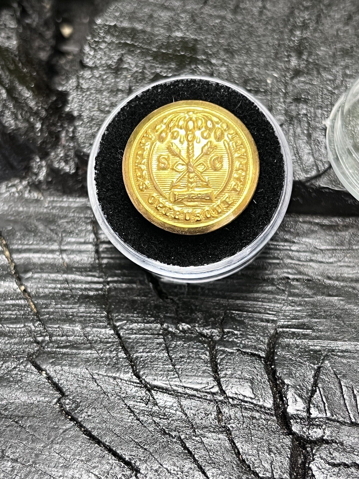 Old Rare Vintage Antique War Relic South Carolina Button Free Display Case