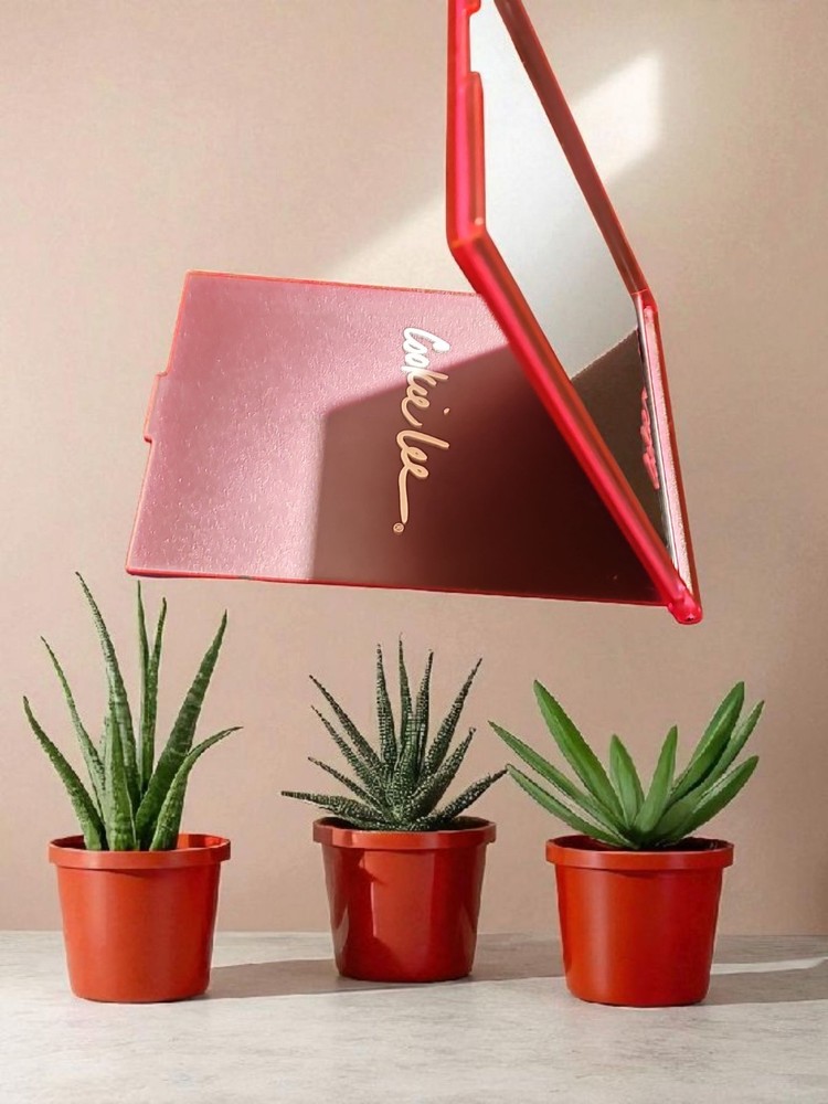 Cookie Lee Foldable Mirror 4 X 6