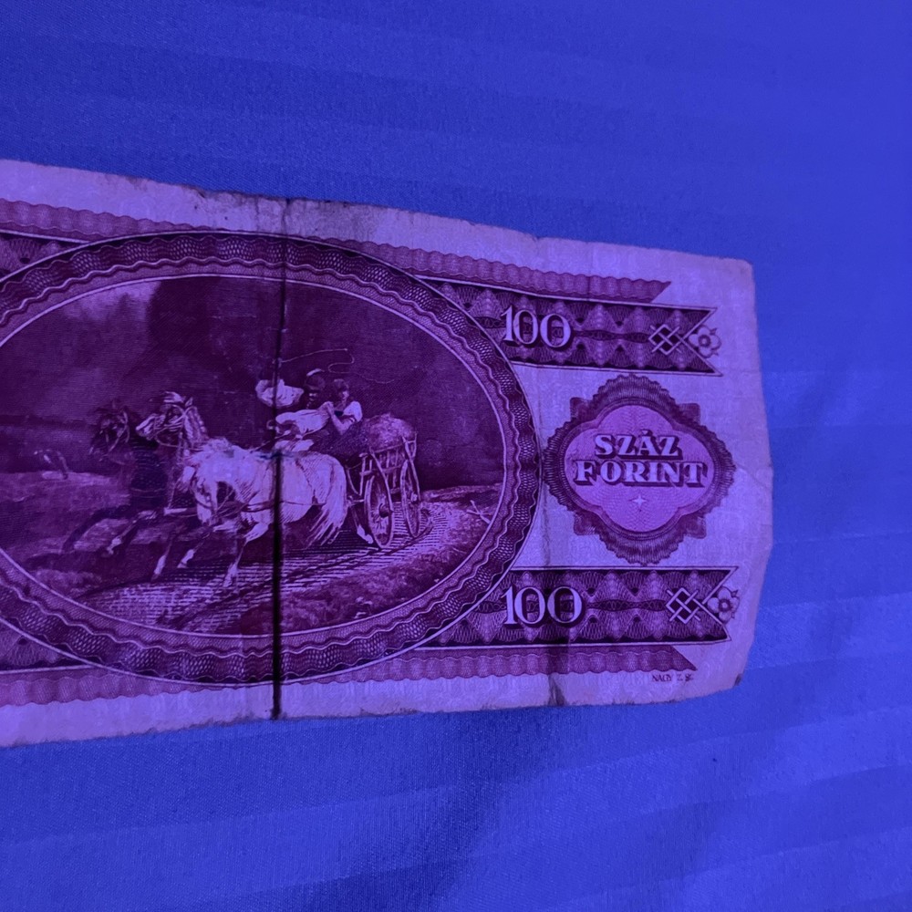 Hungary 100 Forint Banknote 1984 Extremely Circulated