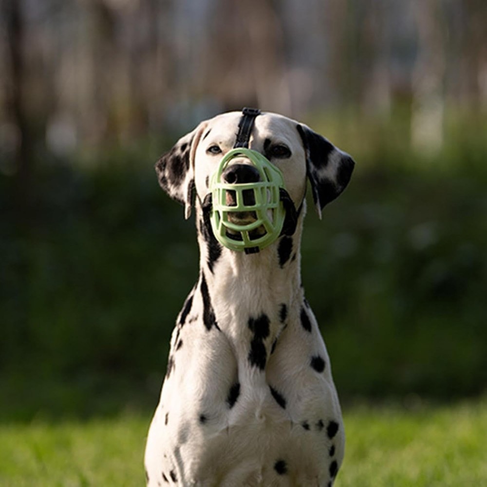 Adjustable Muzzle for Dogs - Anti-Biting Fluorescent Dog Muzzle, Biting Chewing