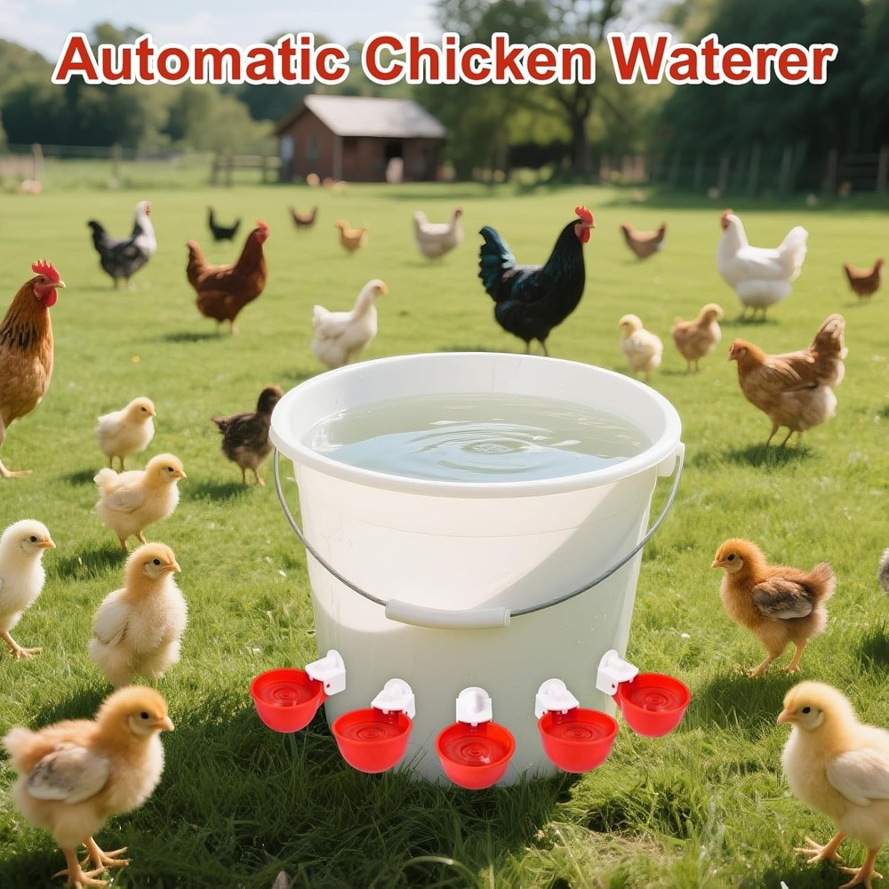 Easy Install Automatic Chicken Waterer – Durable Cups for Ducks, Turkeys & More