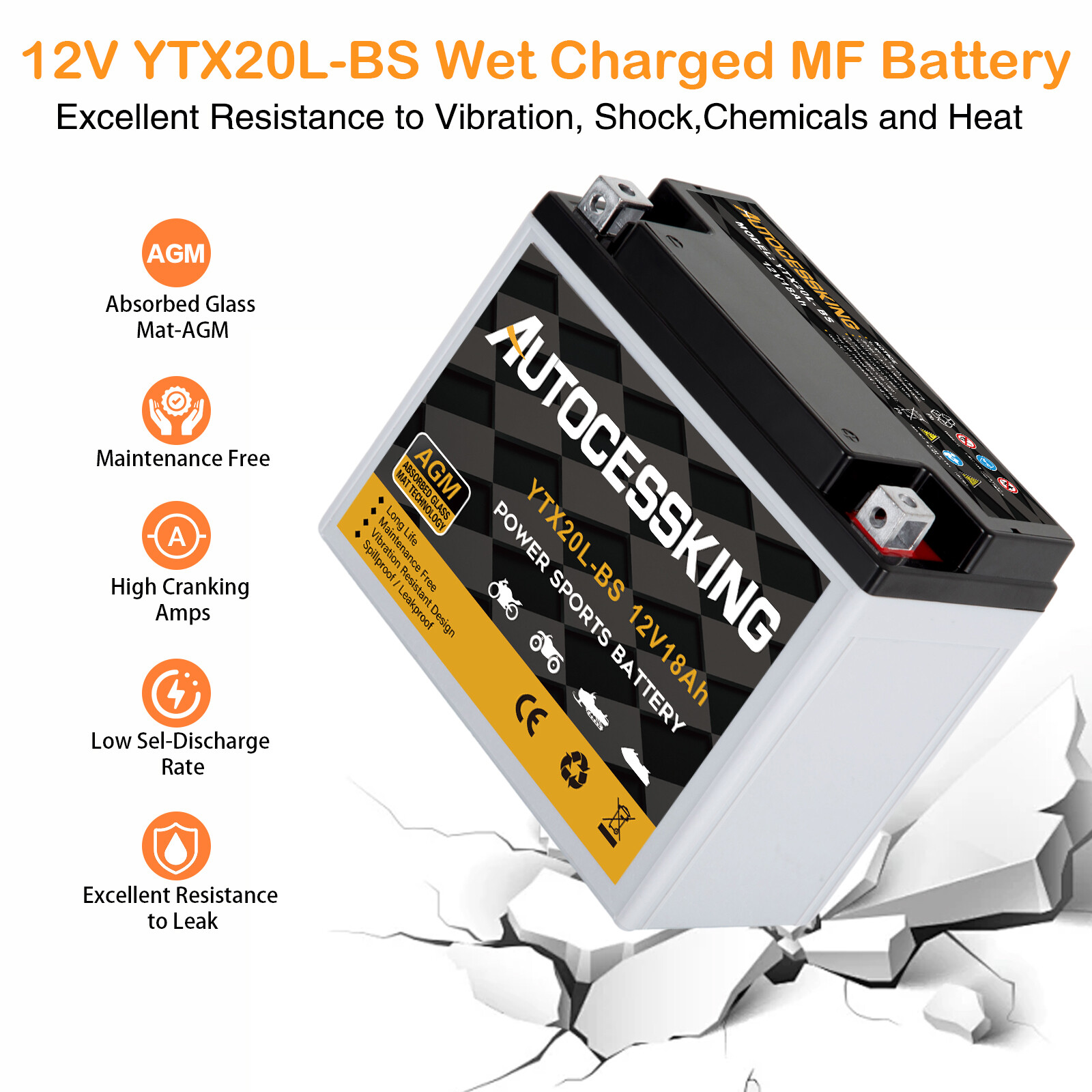 YTX20L-BS High Performance Maintenance Free Sealed AGM Battery For Motorcycle