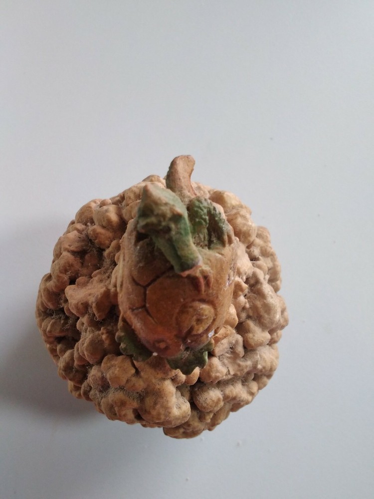 Dragon Hatching Sculpture Egg D&D GOT Paperweight