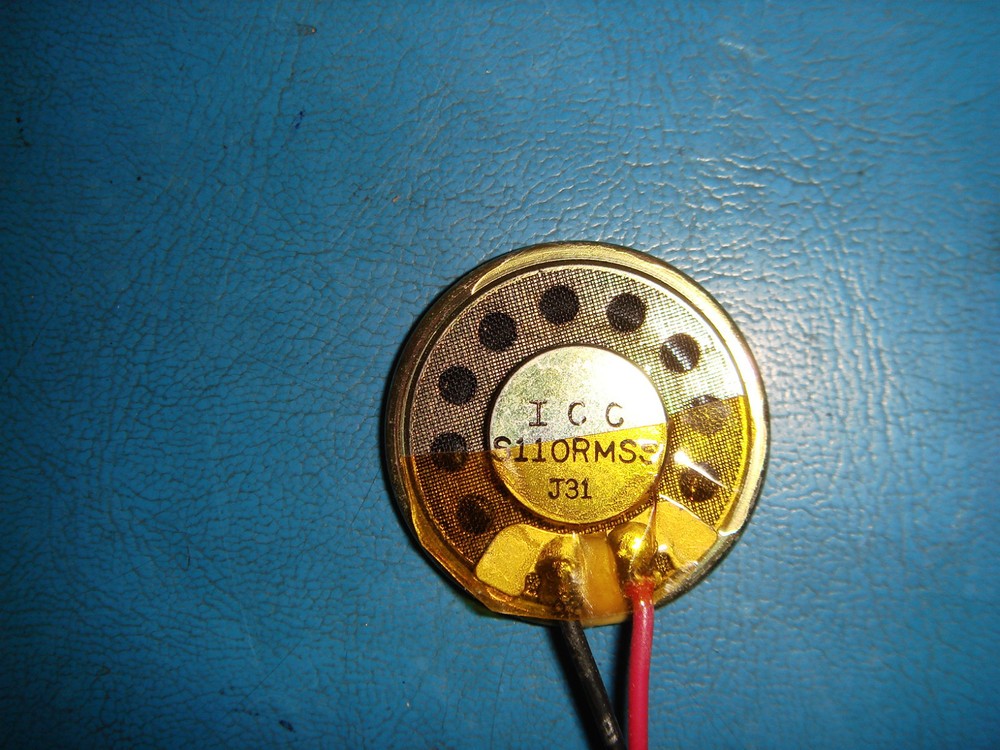 Intervox S110RMSS Speakers with Cable Input