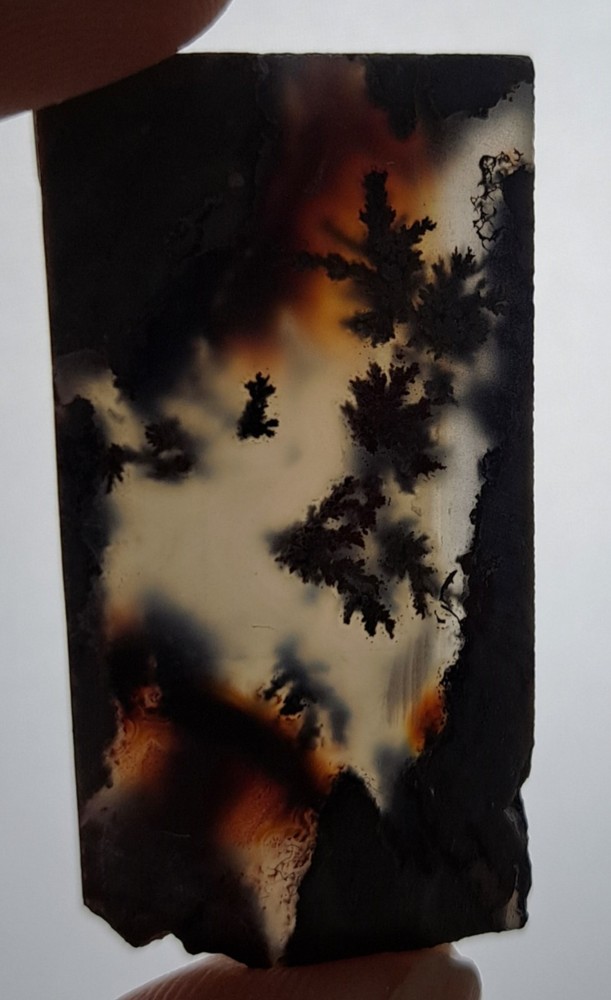 Priday Plume Agate Slab