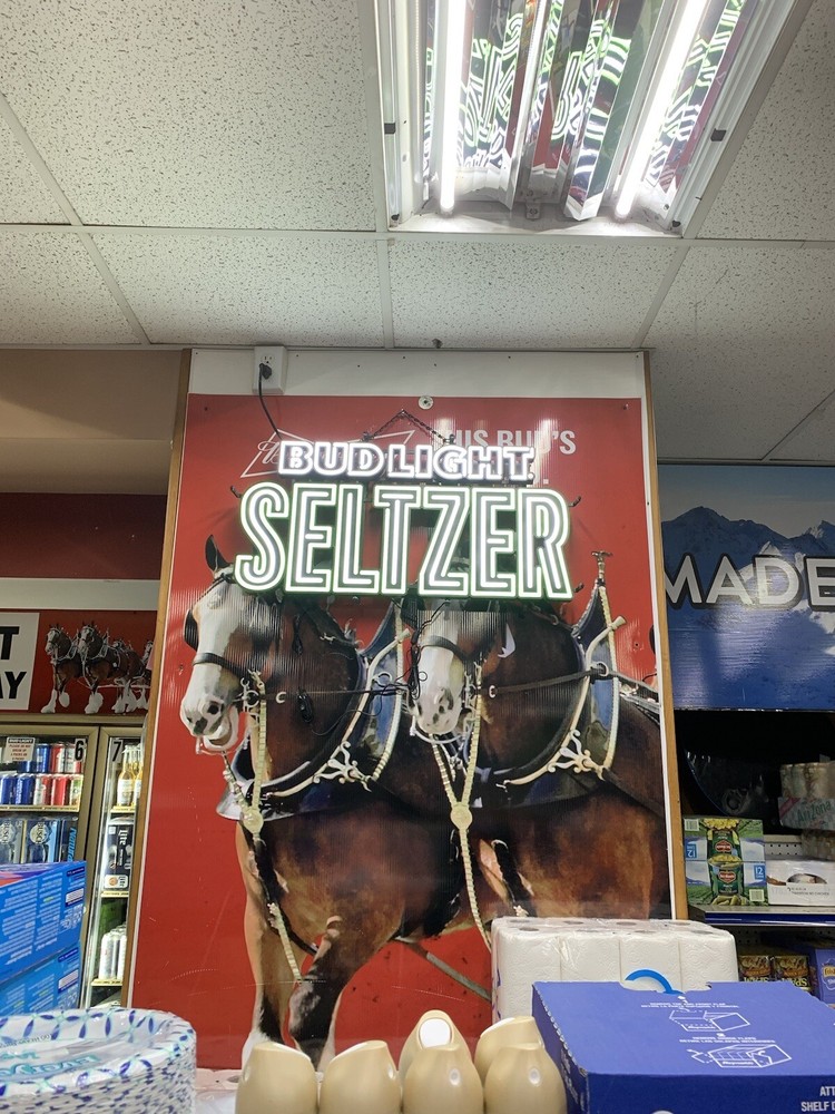 Bud Light Seltzer Neon Light Large