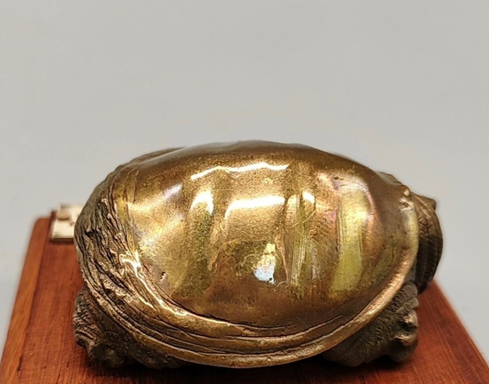 Purple Copper Soft-shelled turtle ornament Solid Artistic handcraft