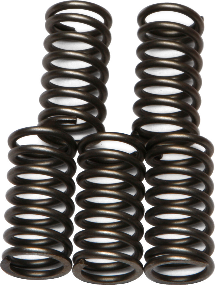 EBC CSK65 Clutch Springs CSK65