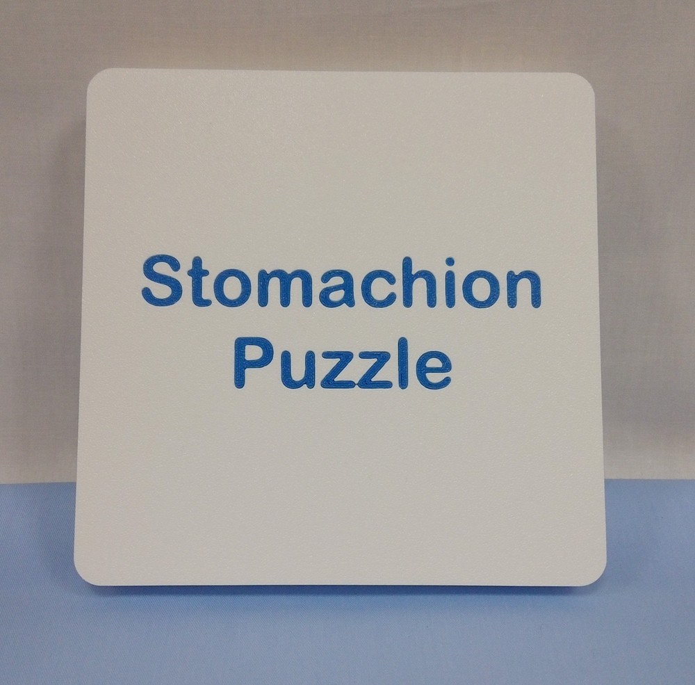 3-D Printed Stomachion Puzzle