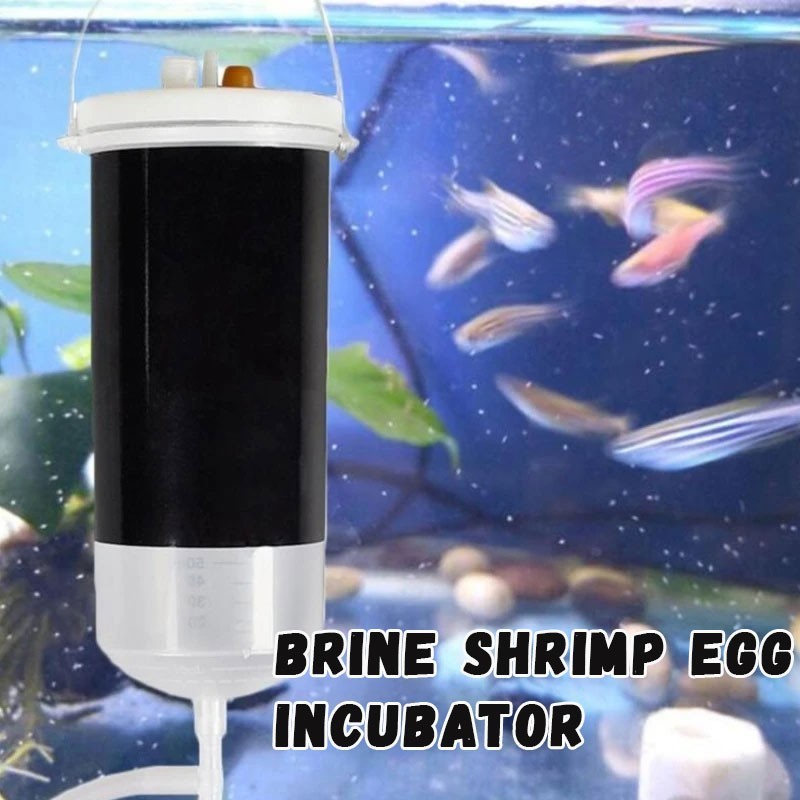 Brine Shrimp Hatchery Kit with Net, Incubator Set for Brine Shrimp Eggs Hatching