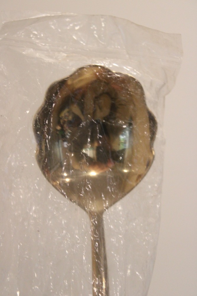 Izabel Lam Bronze STREAM Dinner Spoon