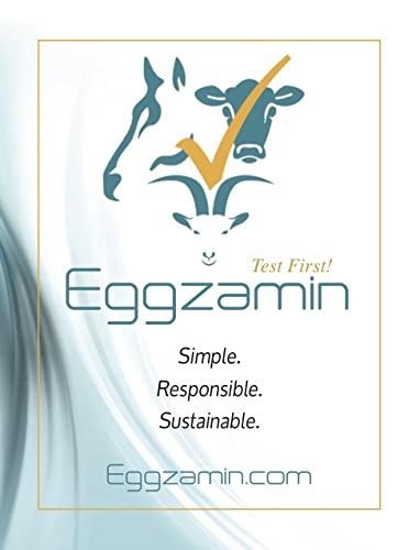 Bundle 2 McMaster Method Microscope Slides FEC Fecal Egg Count Double Chamber