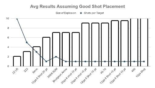 BlastCloud Gender Reveal Targets