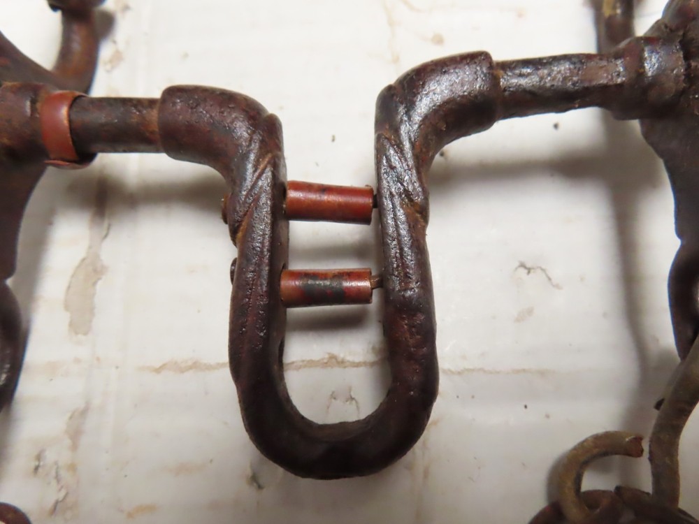 Antique Straight Bit with Snake Sides & Rein