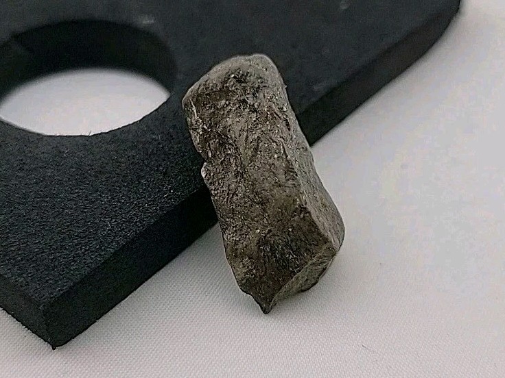 Fossil Dinosaur Permineralized Tooth T-rex 🦖