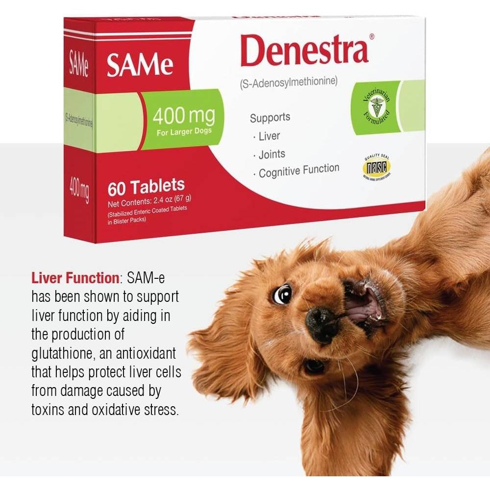 Denestra SAMe 200 mg (60 Tablets)
