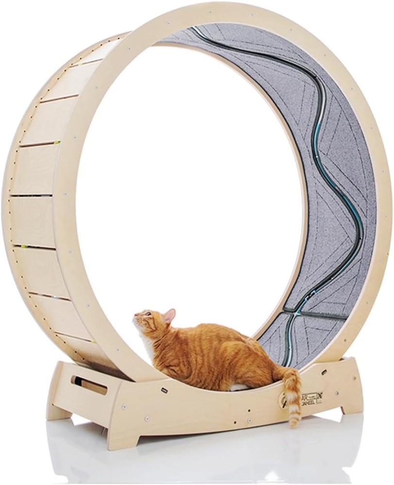 Large Cat Exercise Wheel for Climbing and Scratching, Safe and Durable Materials