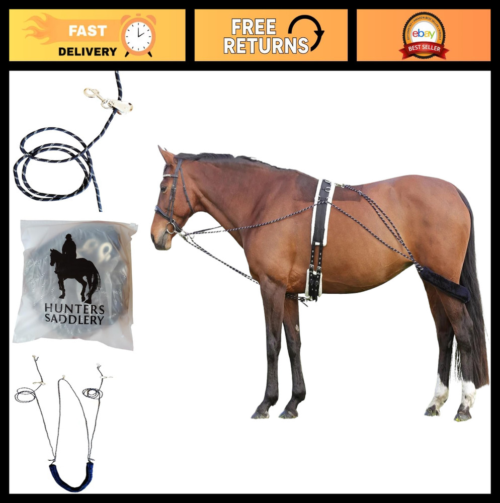 Lunging Aid for Horses - Pessoa Training System Compatible, Adjustable & Durable