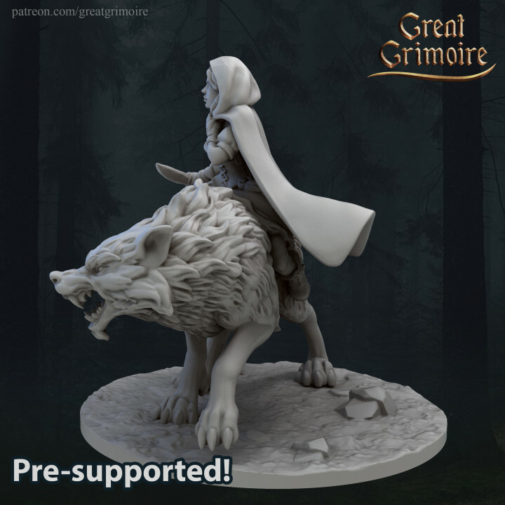 Wolf and Red Riding Hood Mini | D&D DnD |