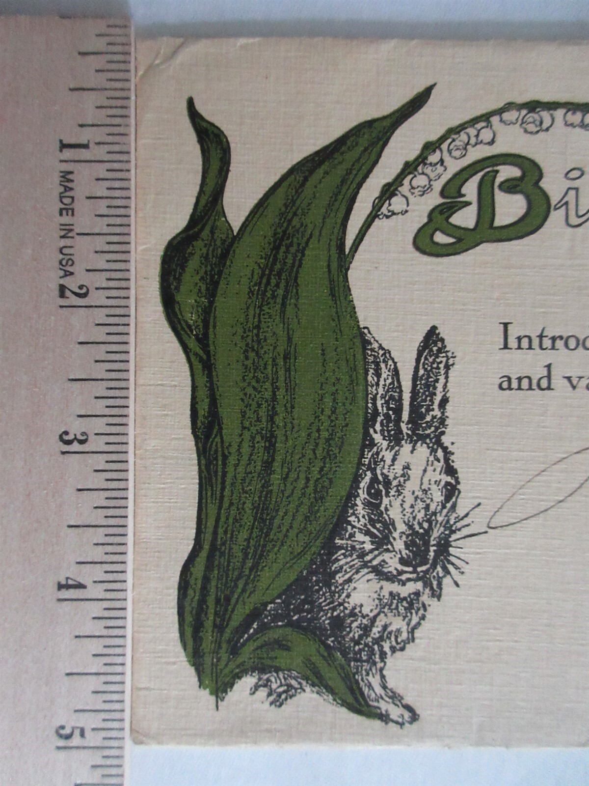 1912 vintage Bissell's large envelope Bissell's Offen Easter