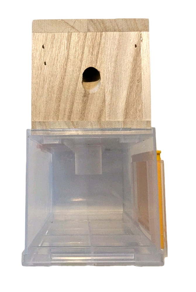 BeesnThings Hanging Bee Trap