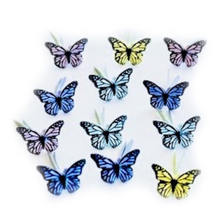 Eyelet Outlet Shape Brads 12/Pkg-Mini Butterfly 2 - 6 Pack