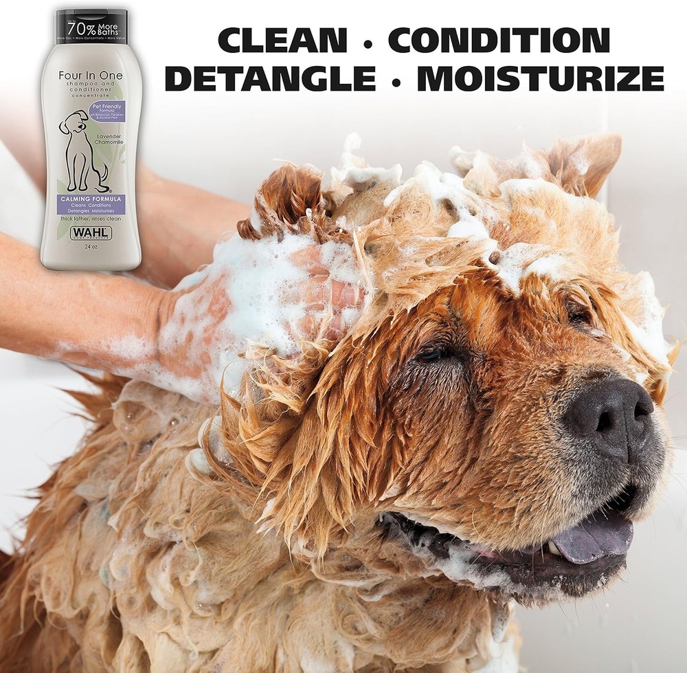 Car Air Refresher Odor Eliminator