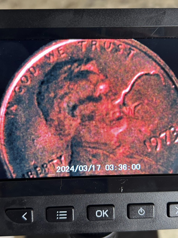 1973 Lincoln Penny No Mint Mark "buffalo?" Error