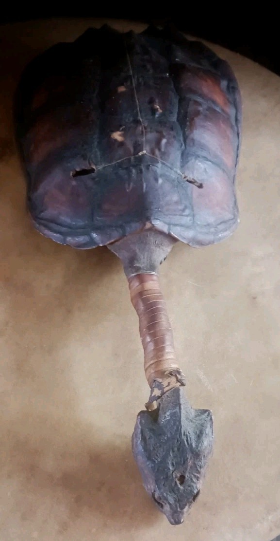 **AWESOME ANTIQUE NATIVE AMERICAN CEREMONY RATTLE OJIBWA SHAMAN NICE! *