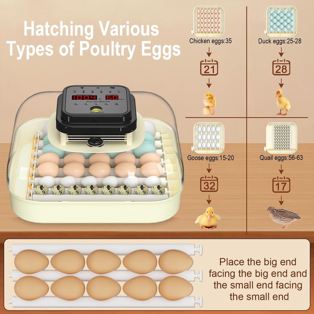 CoInceptus 35 Eggs Incubators for Hatching Eggs,Egg Incubator with Automatic...