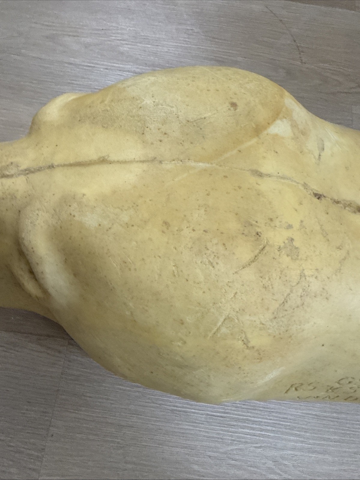 Van Dyke Large Bear Rug Shell Form Open Mouth 1992